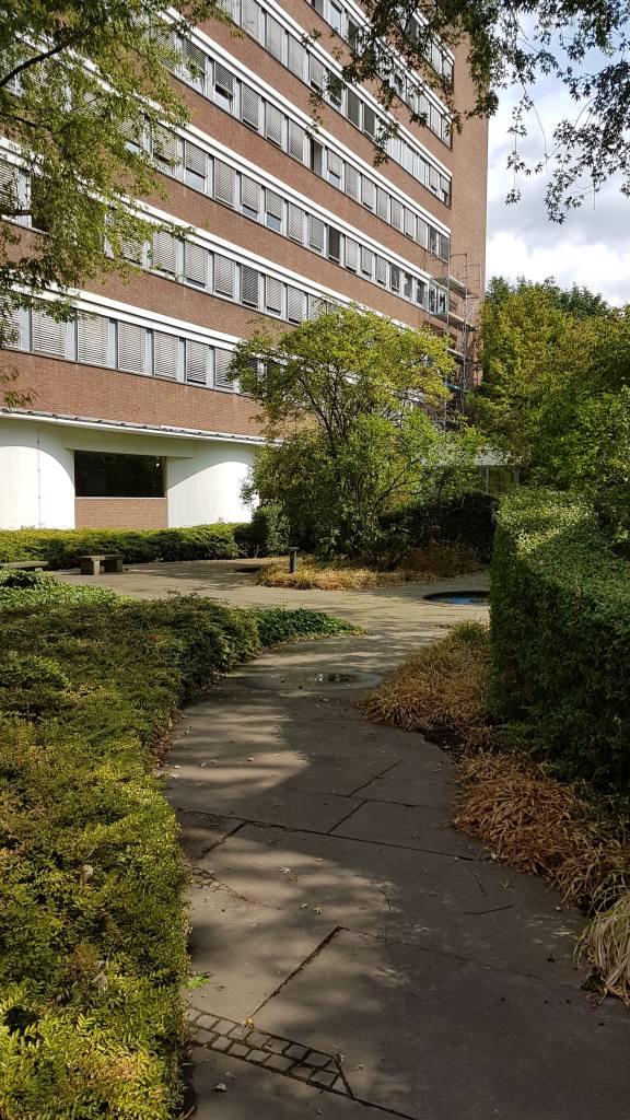 nördlicher Innenhof mit Blick zur Südfassade des Hochhauses