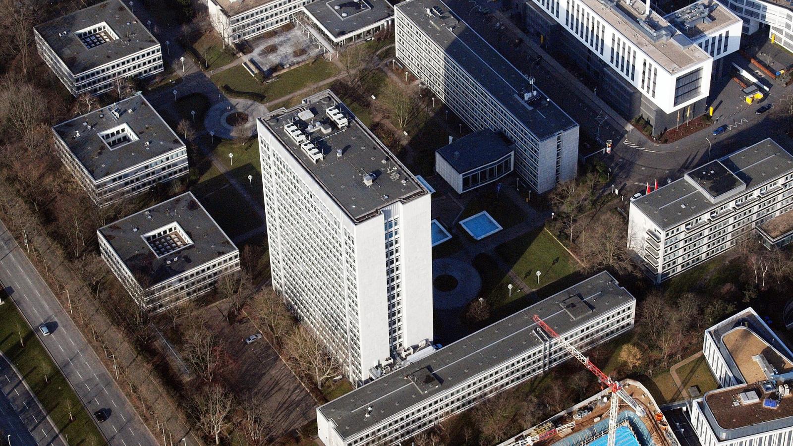 Tulpenfeld, Luftaufnahme (2015)