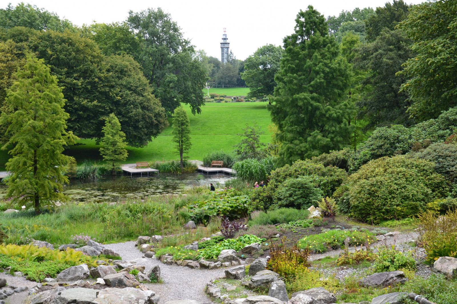 Grugapark Essen mit Blick zum Grugaturm
