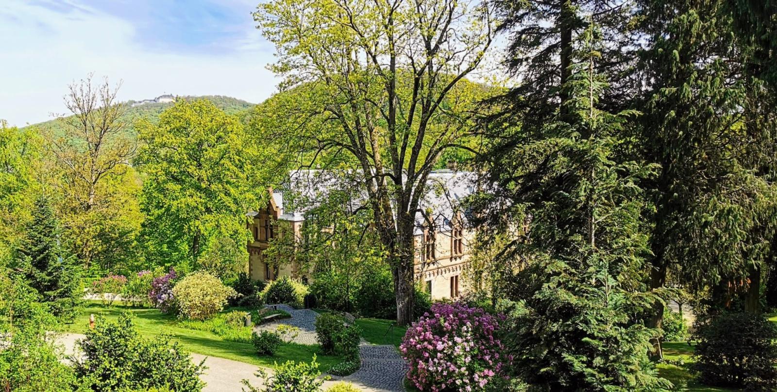 Park Schloss Drachenburg