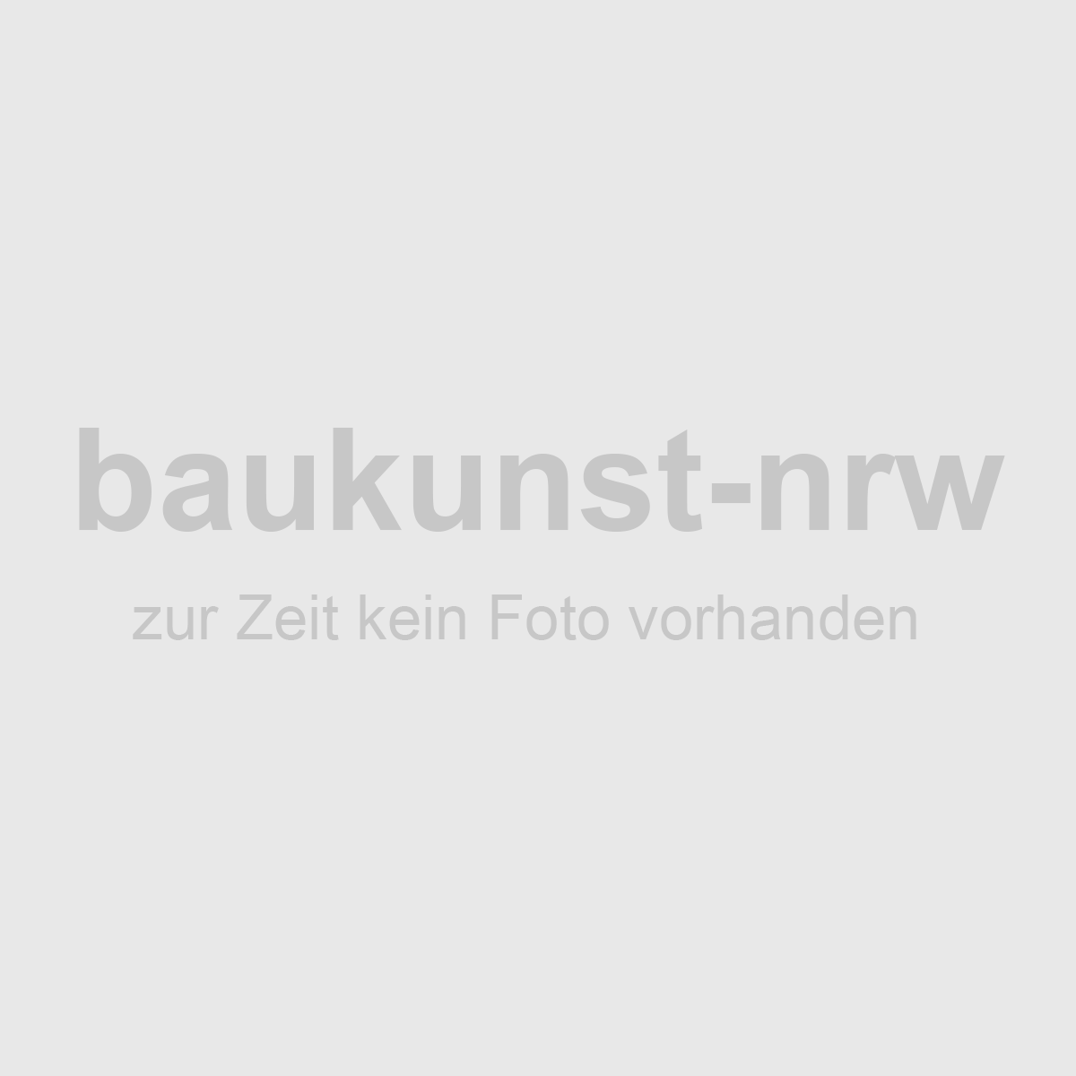 Kein Bild vorhanden