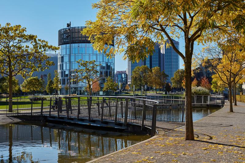 Universitätspark / Grüne Mitte Essen