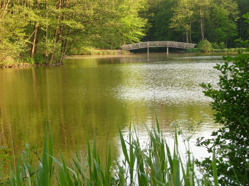 Landschaftspark Bagno