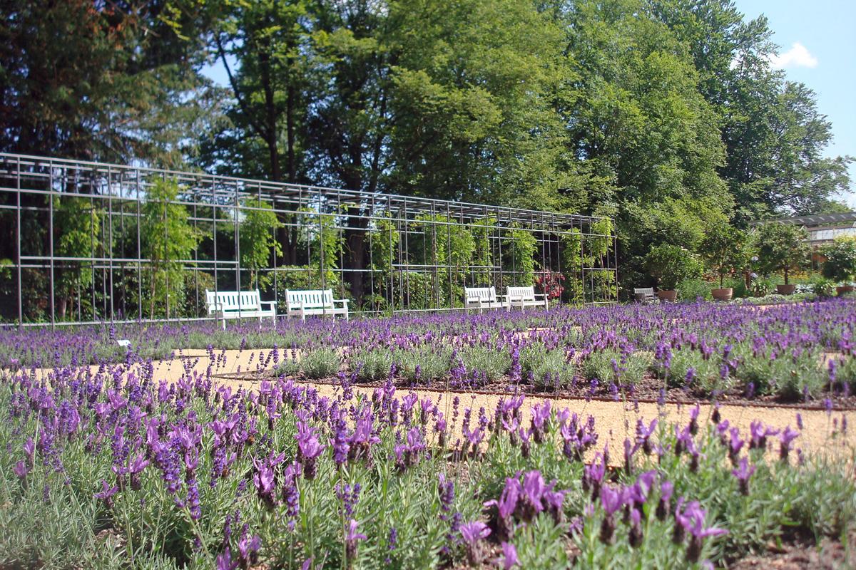 Stadtpark Botanischer Garten Gutersloh Gutersloh