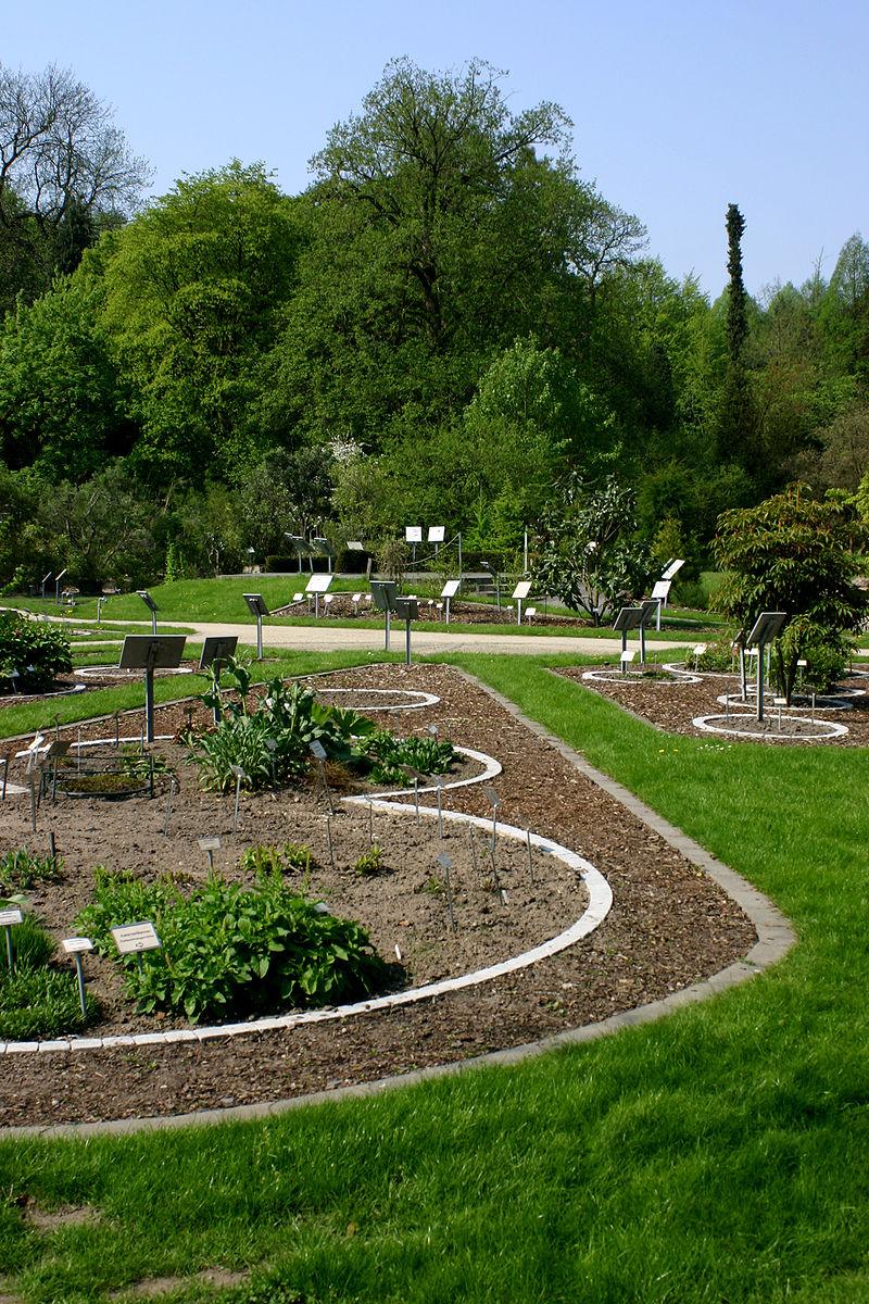 Botanischer Garten und Schlossgarten in Münster Münster