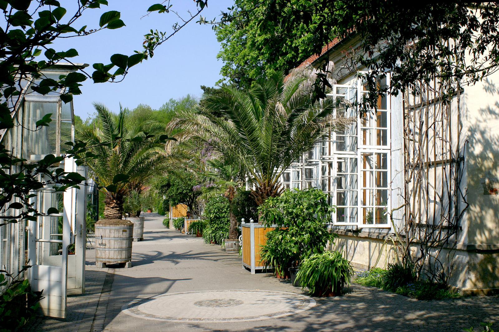 Botanischer Garten und Schlossgarten in Münster Münster