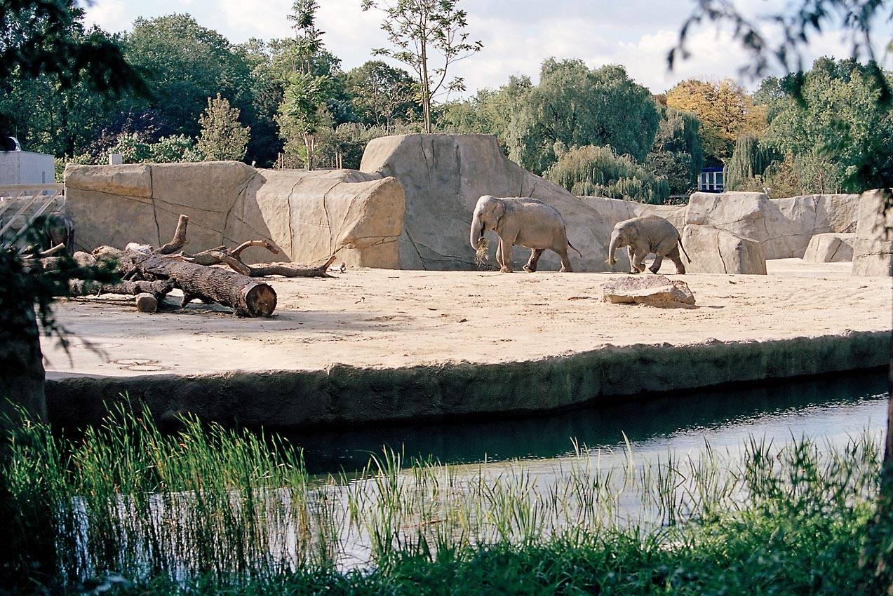 Elefantenpark im Kölner Zoo Köln, Landschaftsarchitektur baukunstnrw